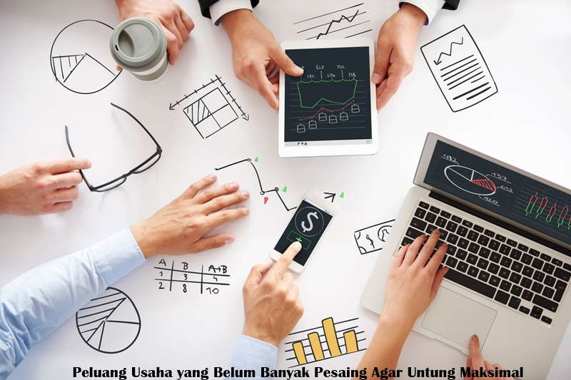 Peluang Usaha yang Belum Banyak Pesaing Agar Untung Maksimal